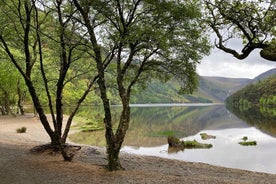 Tagestour ab Dublin: Wicklow Mountains, Glendalough, Powerscourt