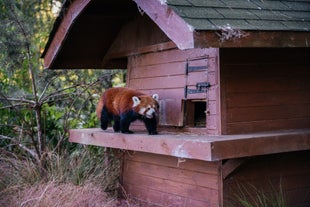 Edinburgh Zoo