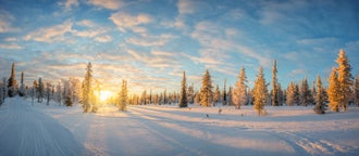 Saariselkä escursioni sugli sci