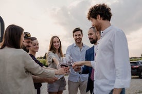 Visita guiada e degustação de vinhos na vinícola em Veneto