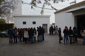 2-Hour Tour through the Stately Orchard with Orange Tasting