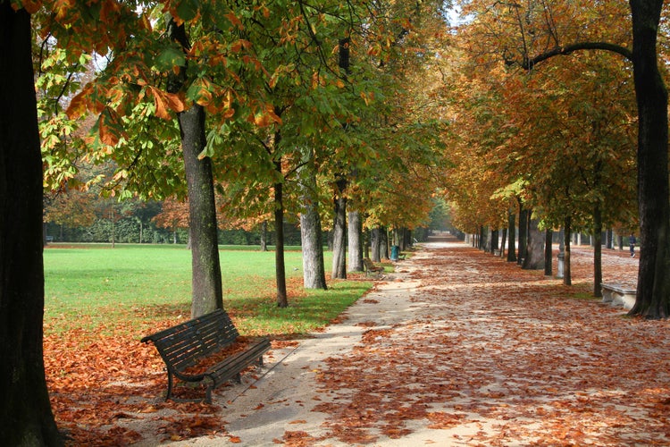 Parma, Italy - Emilia-Romagna region. Ducale Park - autumn view with chestnut trees.