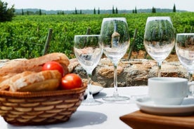 Excursión de medio día para grupos pequeños de cata de vino y brunch desde Gerona