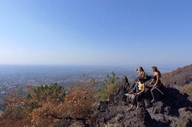 Tour guidato a cavallo del Vesuvio con degustazione di vino