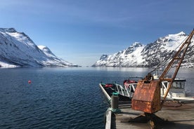 Fjord Sightseeing - Modèle écologique Tesla, modèle X