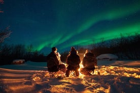 トロムソのシチズン サイエンスによる大人限定のオーロラ ハント ツアー