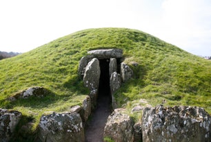 Bryn Celli Ddu