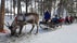 Jaakkola Reindeer Farm, Sodankylä, Pohjois-Lapin seutukunta, Lapland, Mainland Finland, Finland