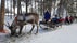 Jaakkola Reindeer Farm, Sodankylä, Pohjois-Lapin seutukunta, Lapland, Mainland Finland, Finland