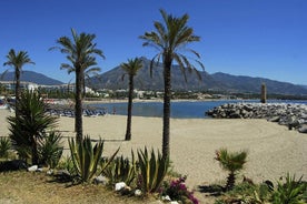 Einkaflutningur frá Cádiz til Malaga (AGP) flugvallar