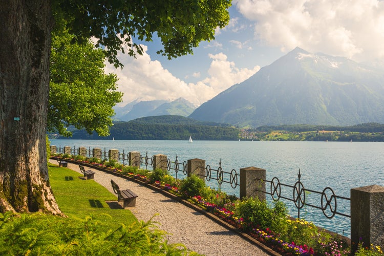 Park in Oberhofen am Thunersee, a municipality in the administrative district of Thun in the canton of Bern in Switzerland.