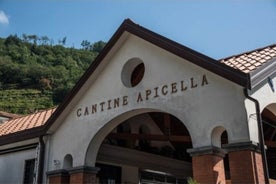 Cata de vinos en bodega Apicella.