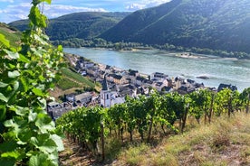 Tour di degustazione di vini nella valle del Reno da Francoforte e Magonza