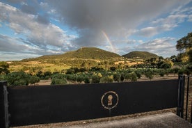 Vista a la finca y olivar, cata de aceite de oliva virgen extra y merienda