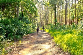 The Train Track Trail Mountain Bike Ride - Experiência privada