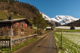 Photo of The Alp Laui near Wildhaus-Alt St. Johann with view of the Saentis and the Wildhuser Schafberg, Toggenburg, Canton of St. Gallen, Switzerland.