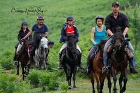 3 小时导游带领的德里诺山谷骑行