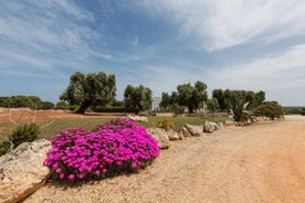 Villa Torre Guaceto con piscina by Wonderful Italy