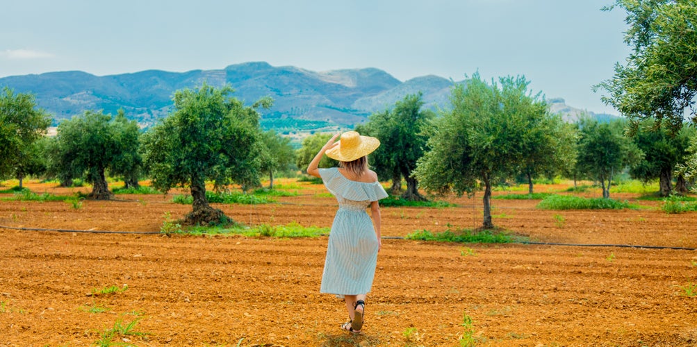 Photo of a tourist having a rest in greek olive garden in Heraklion, Crete, Greece.