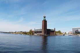 Private Stockholm Top Attractions All-Inclusive Gran Tour 1 jour