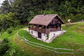 Vineyard cottage Škatlar 3