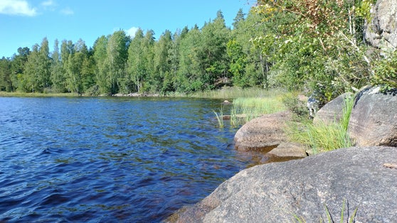 photo of nature reserve in Ågelsjön in Sweden.
