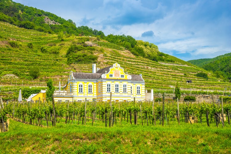 shutterstock_390405535.jpg