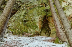 Visite guidée du parc national de Gauja