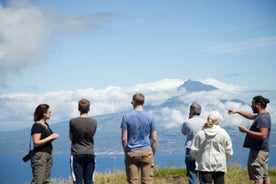 Excursion privée d'une journée à Faial