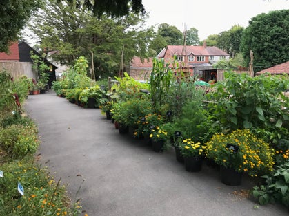 Photo of Botanical Garden of Bristol, England.