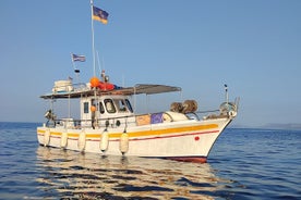 Experiencia de día completo de pesca y navegación en Hydra