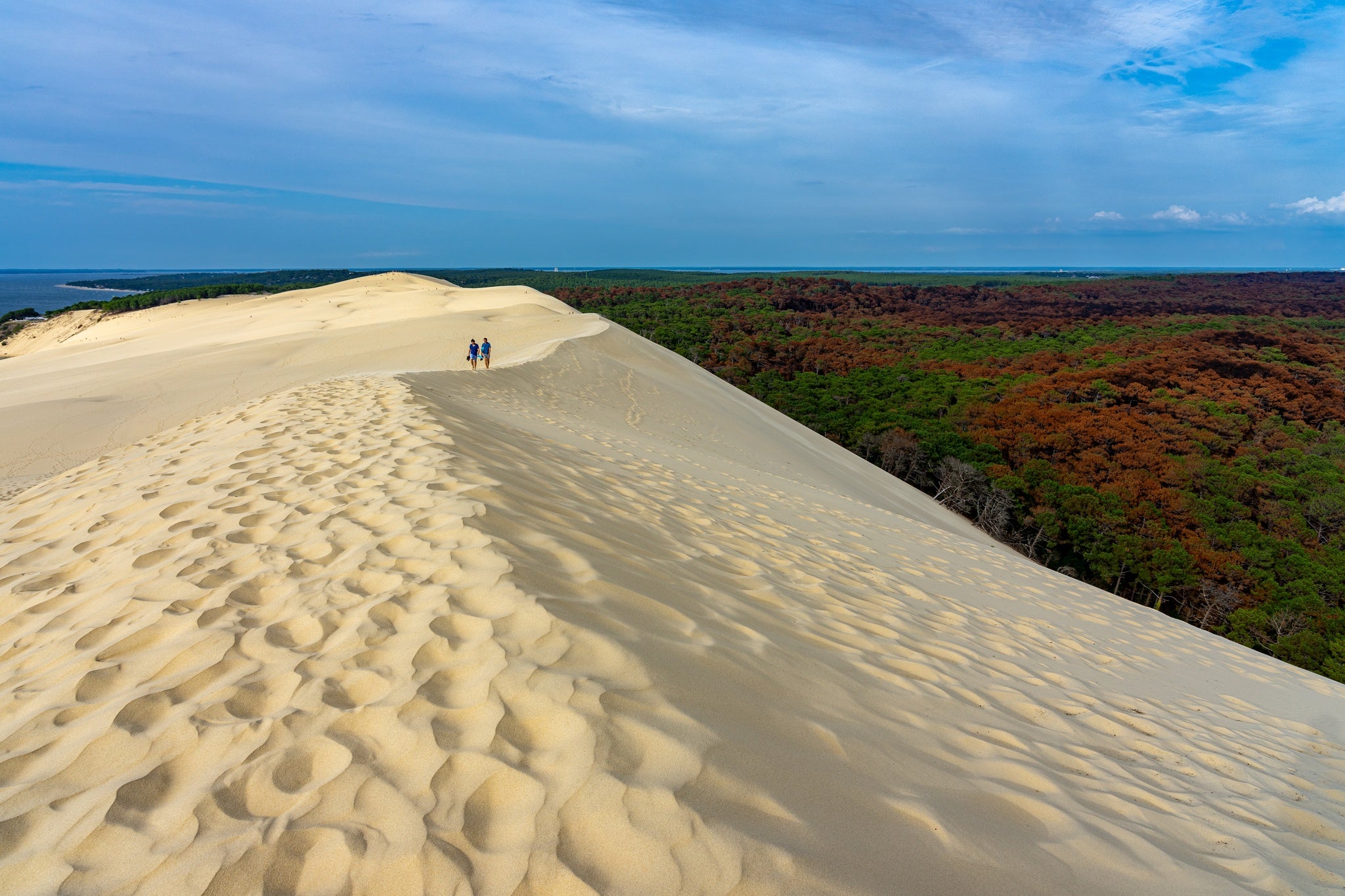 Dune du Pilat on the Atlantic coast in France.jpg