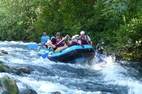 Excursión de rafting de medio día