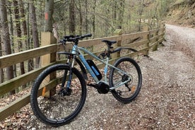 E-BIKE MTB-Verleih (Selbstführungen)