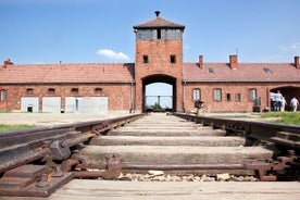 Auschwitz and Salt Mine 5-8 people in one day