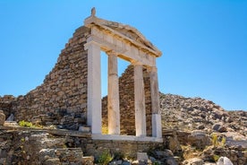 Delos en Mykonos One Day Cruise vanuit Naxos