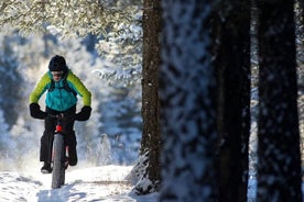 E Fat Bike Safari in Rovaniemi