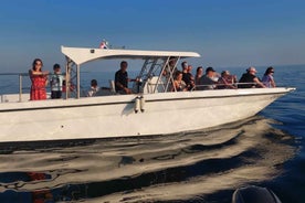 Umag: Dolphinwatching & sunset panorama tour