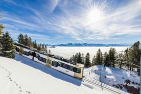 Mount Rigi: Dagsmiði