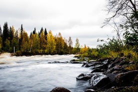 Utforska vildmarken (sommar och höst)