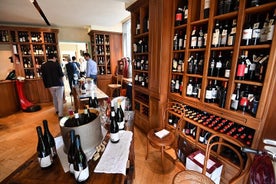 Esperienza enologica esclusiva con un sommelier locale a Milano