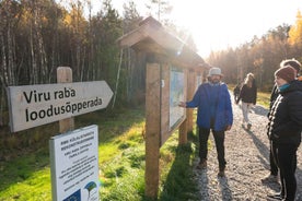 Ferð frá Tallinn: Dagsferð til Lahemaa Þjóðgarðs