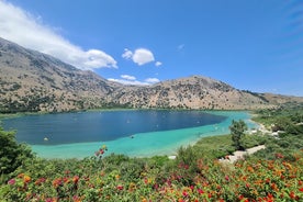 Meio dia privado Degustação de vinhos e azeites - lago Kournas