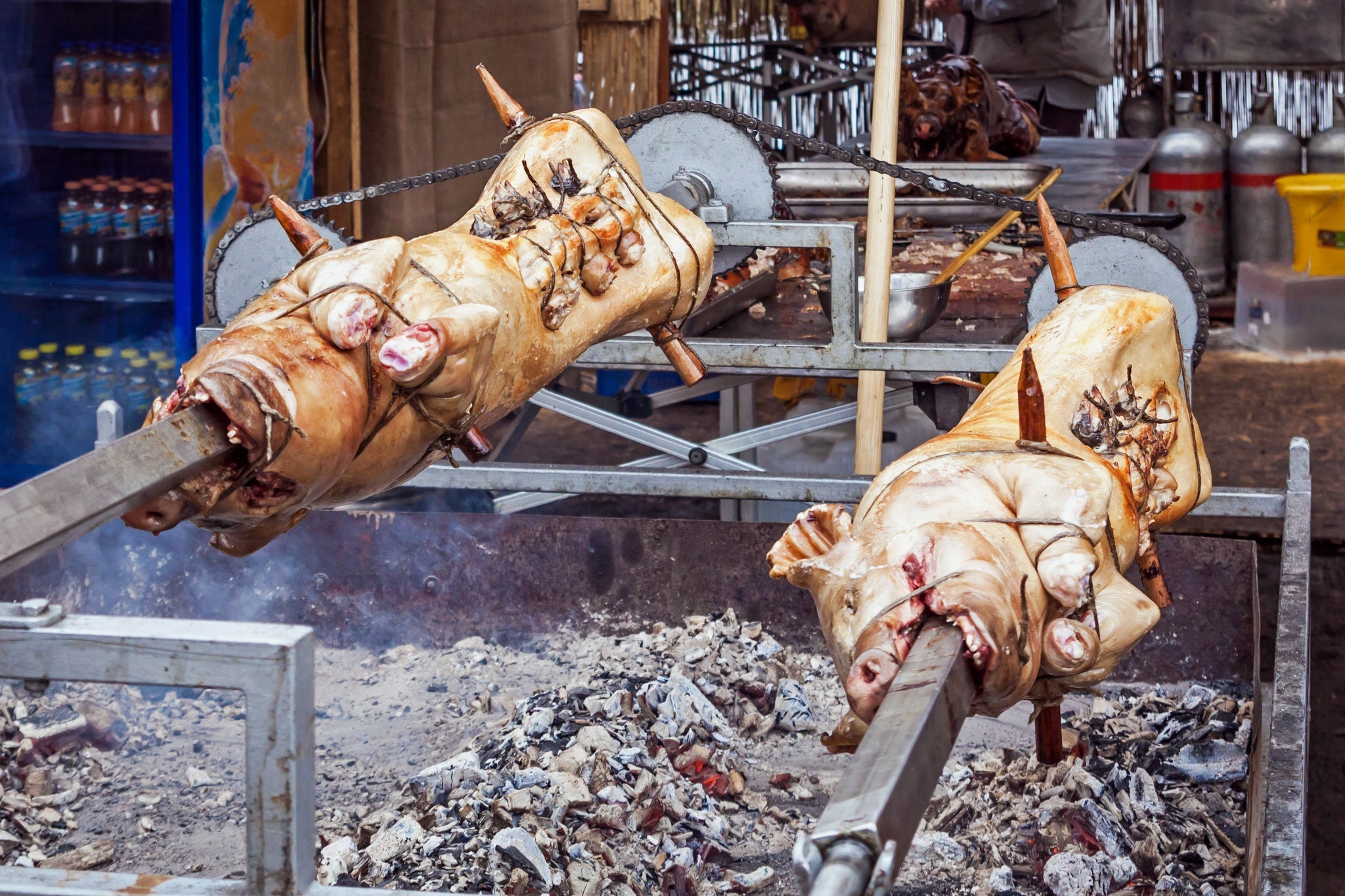 Hungary Mangalitsa Pig Roasted.jpg