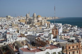 Excursão privada de meio dia a Cádiz com embarque e desembarque