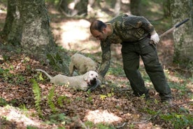 Private Tour: Truffle-Hunting Experience from Positano with Lunch