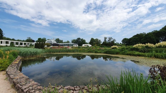photo of vytautas magnus university botanical garden.