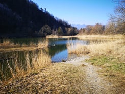 Photo of aerial view of Unterwasser, Switzerland.