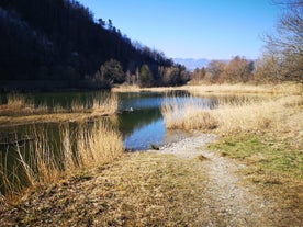 Photo of aerial view of Unterwasser, Switzerland.