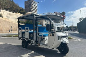 Tuk Tuk Private Tour of Malaga